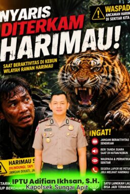 berita-rekomendasi-foto