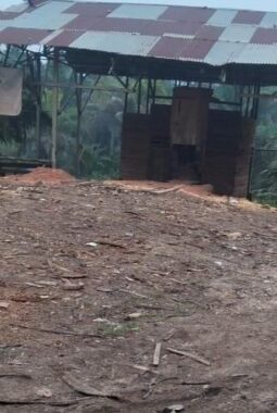berita-rekomendasi-foto